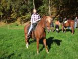 tiersegnung_2010__298.jpg