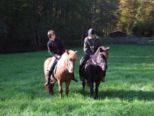 tiersegnung_2010__300.jpg