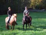 tiersegnung_2010__303.jpg