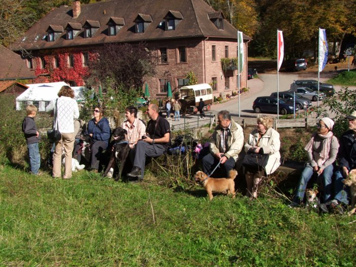 tiersegnung_2010__044.jpg