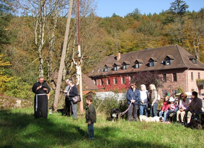 tiersegnung_2010__092.jpg