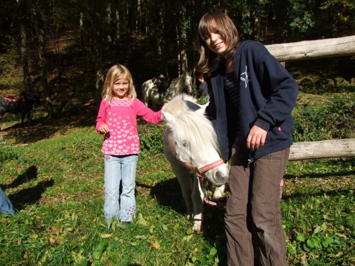 tiersegnung_2010__284.jpg