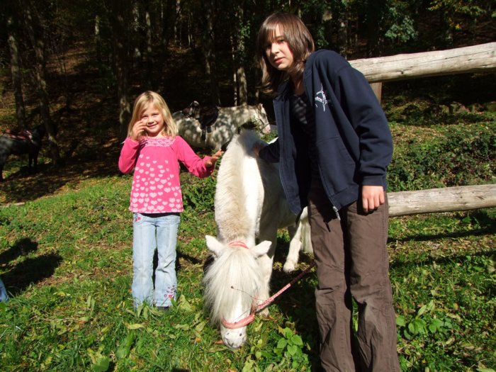tiersegnung_2010__286.jpg