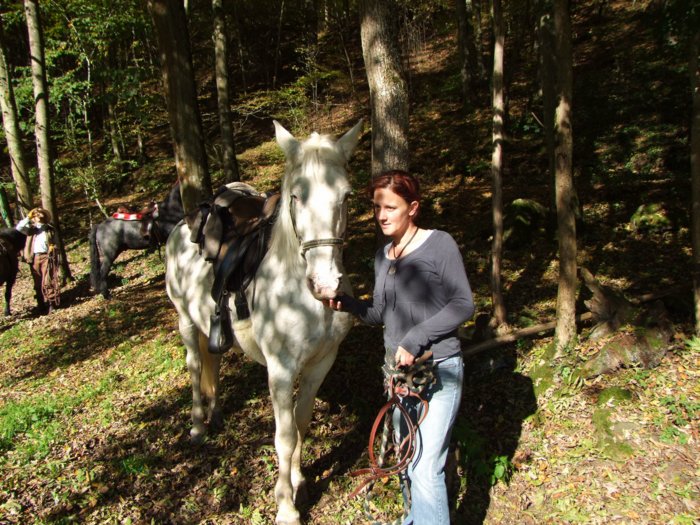 tiersegnung_2010__288.jpg