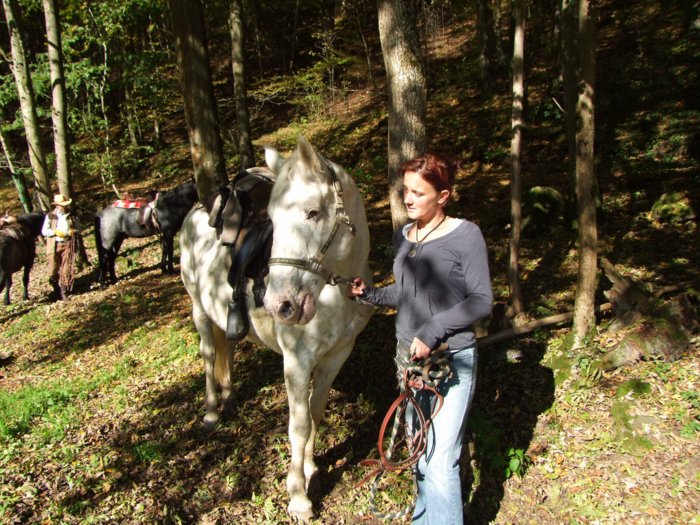 tiersegnung_2010__289.jpg