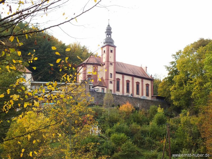 tiersegnung_273.jpg