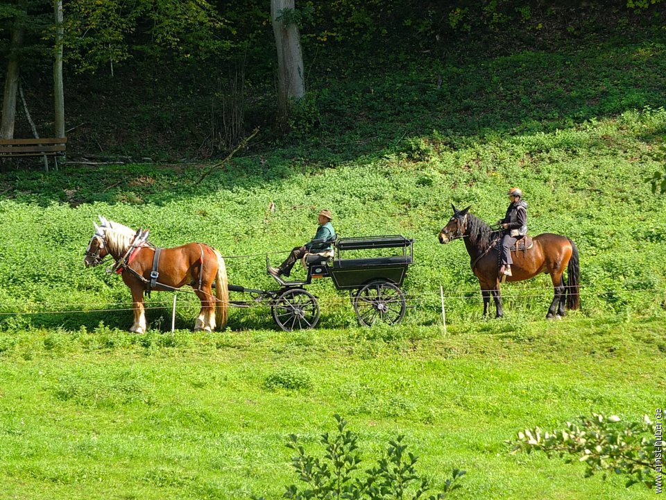 tiersegnung2015__105.jpg