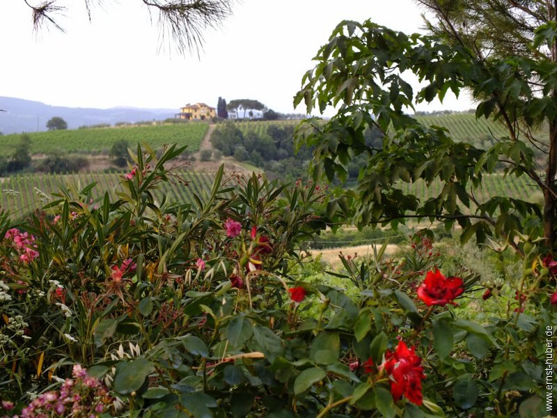 italien_671.jpg