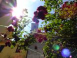 italien_868.jpg