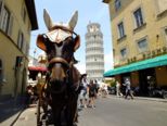 italien2__286.jpg