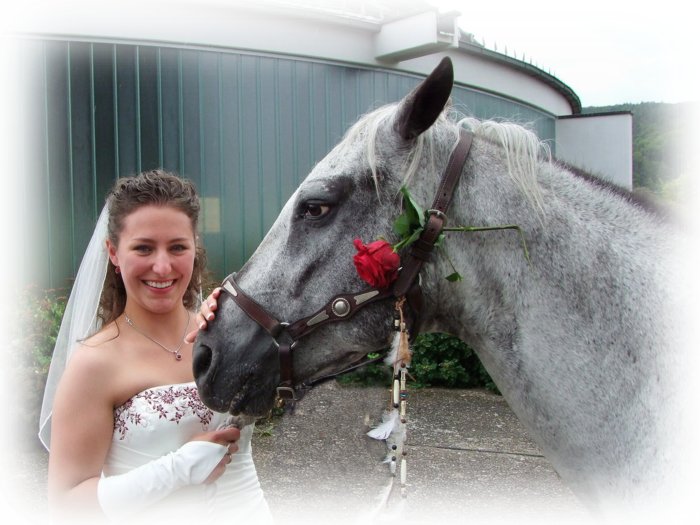 hochzeit_01__378.jpg