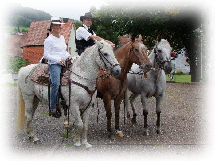 hochzeit_01__528.jpg
