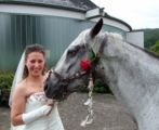 hochzeit_01__378.jpg