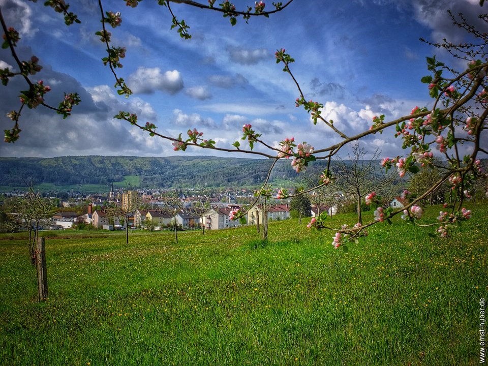 sackenbach050521_093.jpg