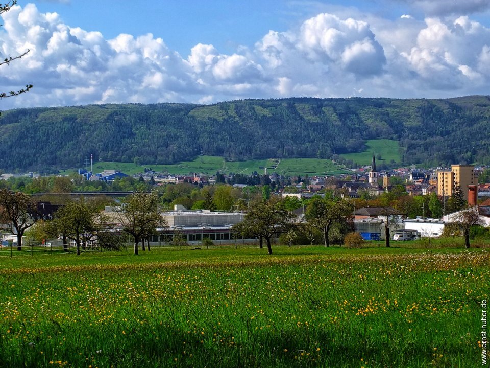 sackenbach050521_134.jpg