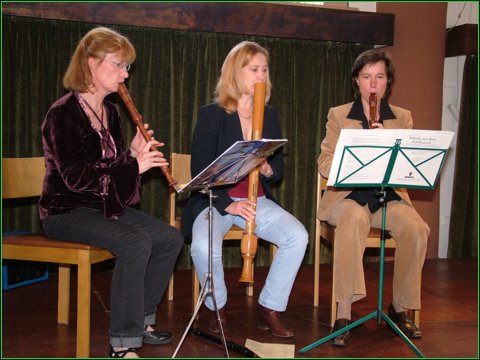D.Herzing, C.Rothkegel-Risser,E.Luge