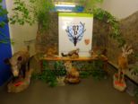 vivarium2016__003.jpg