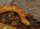 vivarium2016__088.jpg