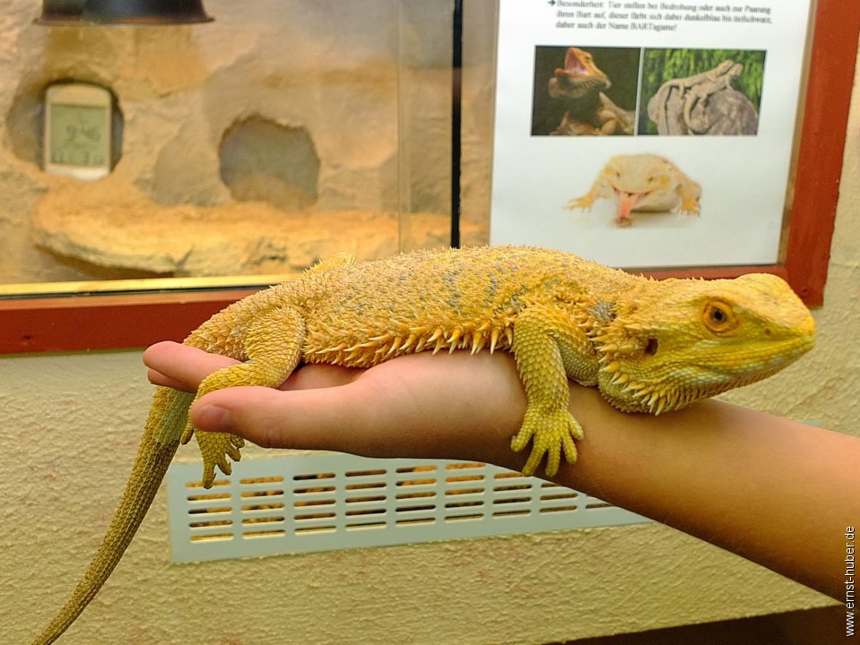 vivarium__127.jpg