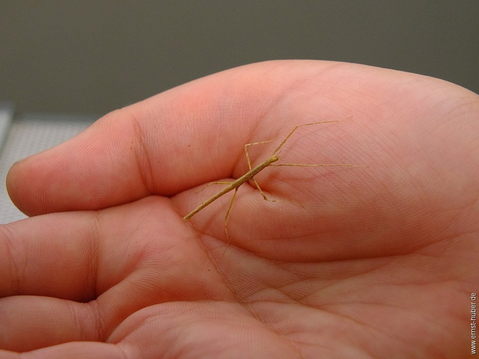 vivarium__158.jpg