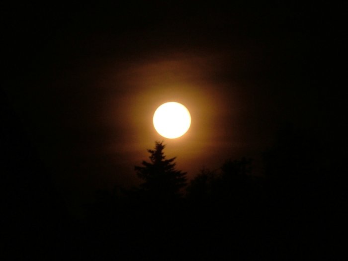 mond_045.jpg