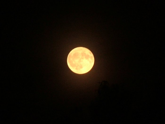 mond_081.jpg