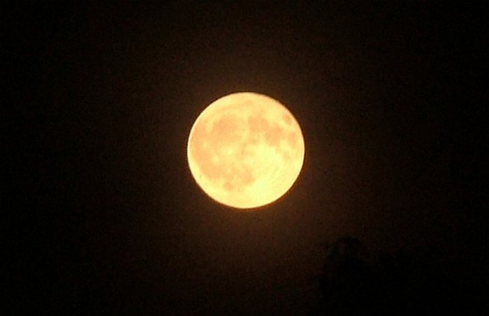 mond_082.jpg