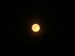 mond_057.jpg