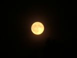 mond_081.jpg