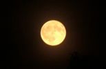 mond_082.jpg