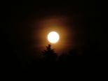 mond_045.jpg