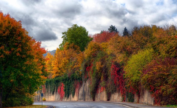 herbstfarben.jpg