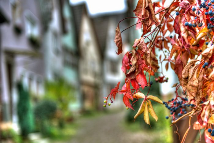 herbstlichefischergasse.jpg