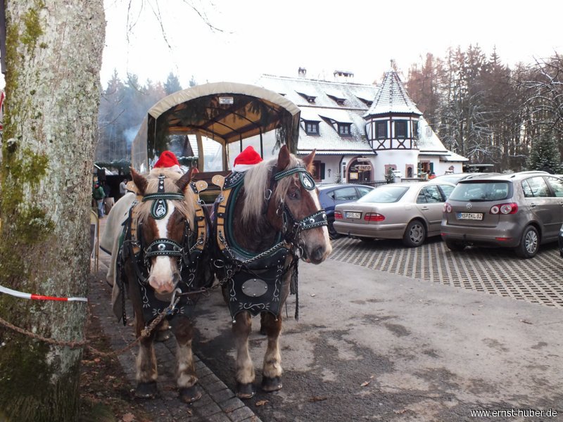 waldweihnacht_003.jpg