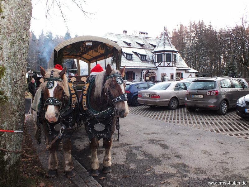 waldweihnacht_004.jpg