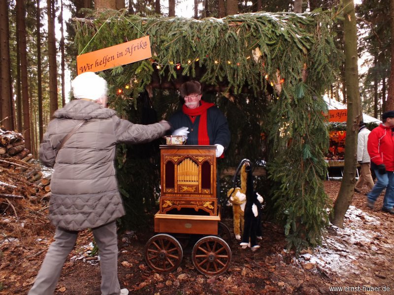 waldweihnacht_195.jpg