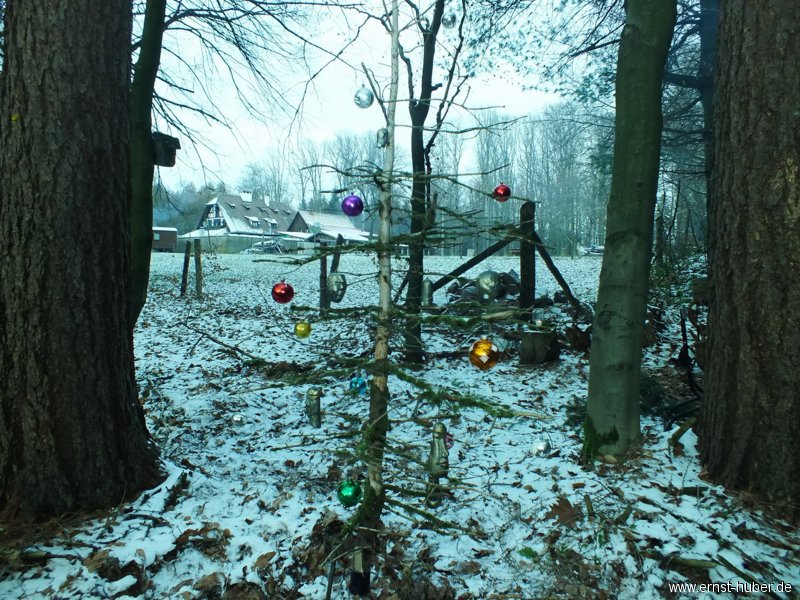 waldweihnacht_230.jpg