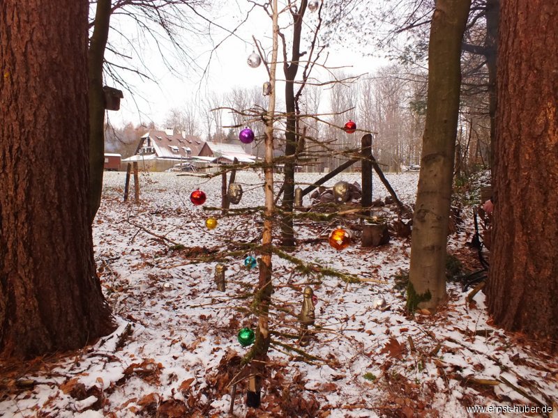 waldweihnacht_231.jpg
