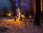 wald_weihnacht__388.jpg