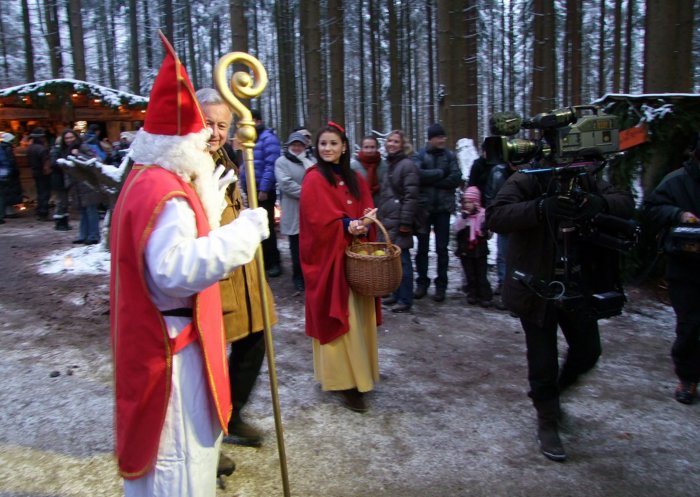 wald_weihnacht__185.jpg