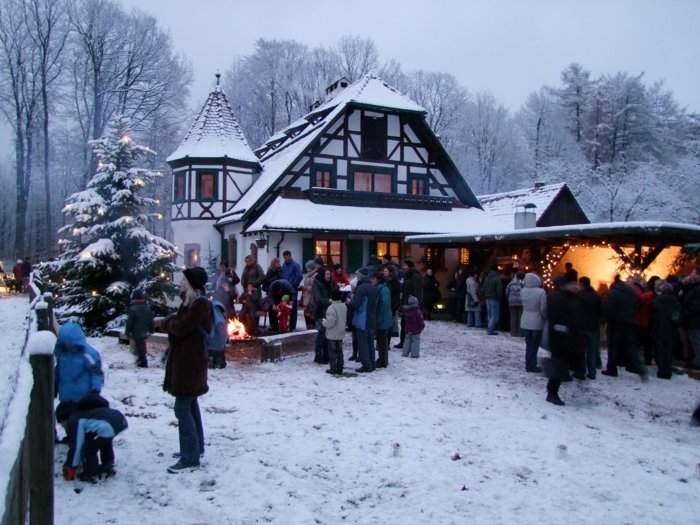 wald_weihnacht__249.jpg