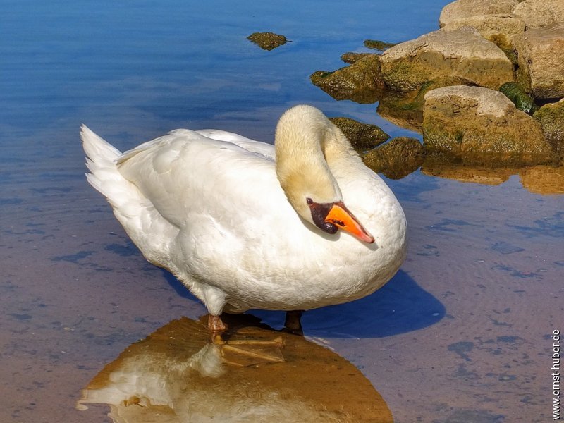 waldzell_023.jpg