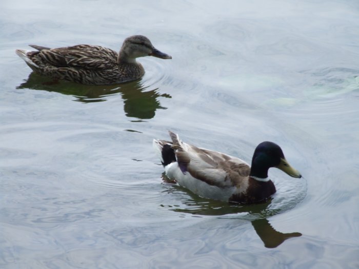 wasserfest_2011__129.jpg