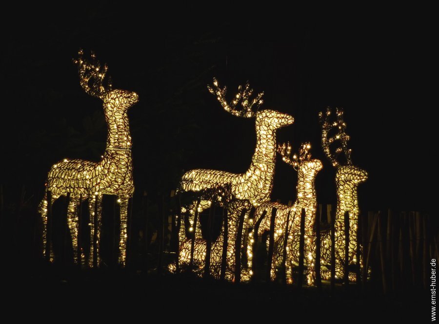 lweihnachtssingen__140.jpg