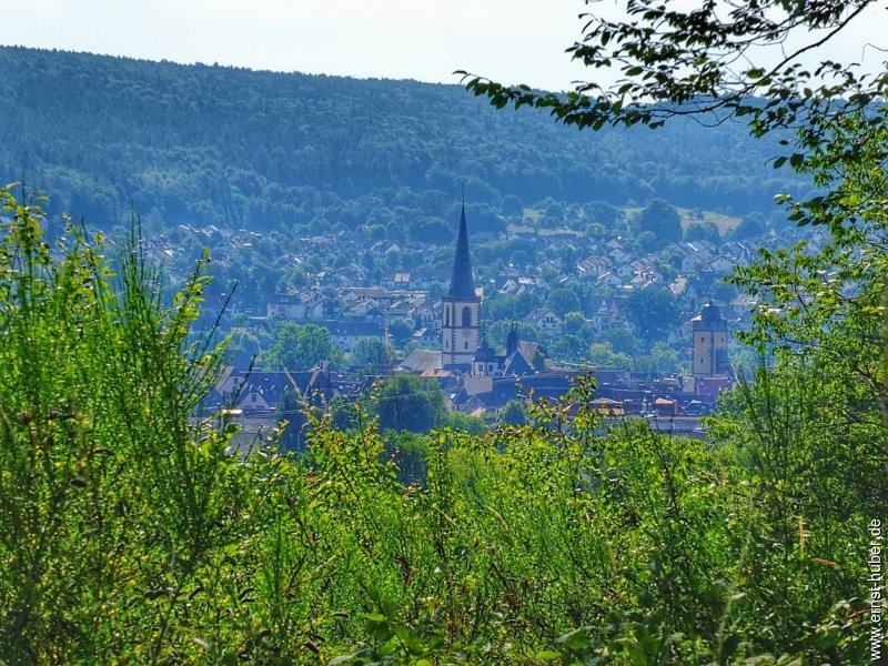 weikerswiese__187.jpg