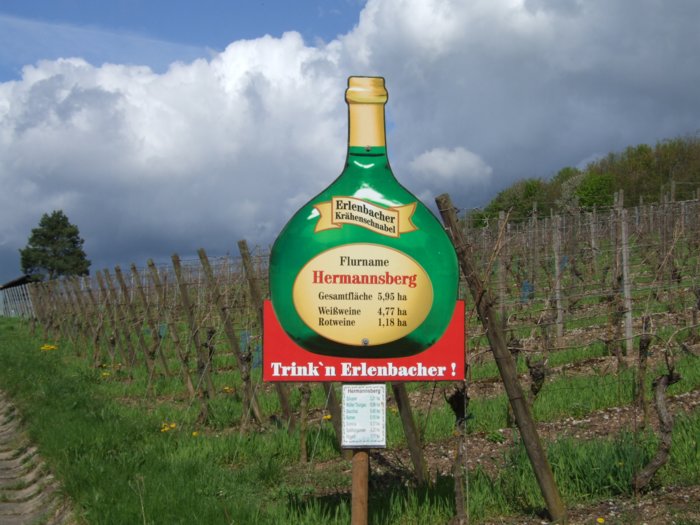 erlenbach_002.jpg