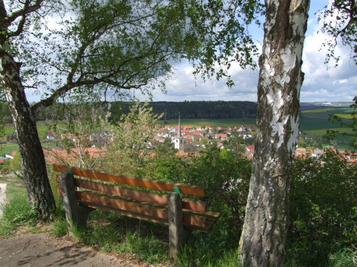 erlenbach_012.jpg