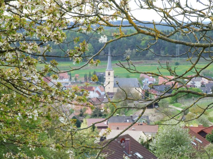 erlenbach_052.jpg