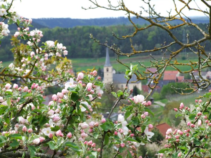 erlenbach_058.jpg