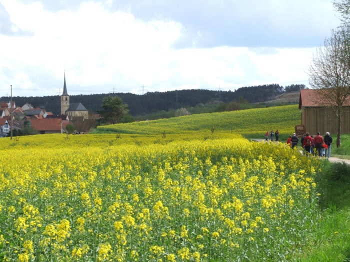 erlenbach_130.jpg